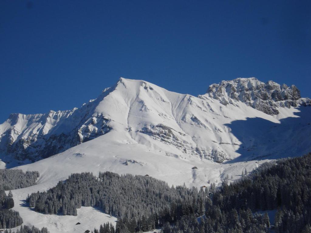 Chalet Allmegrat Аделбоден Екстериор снимка
