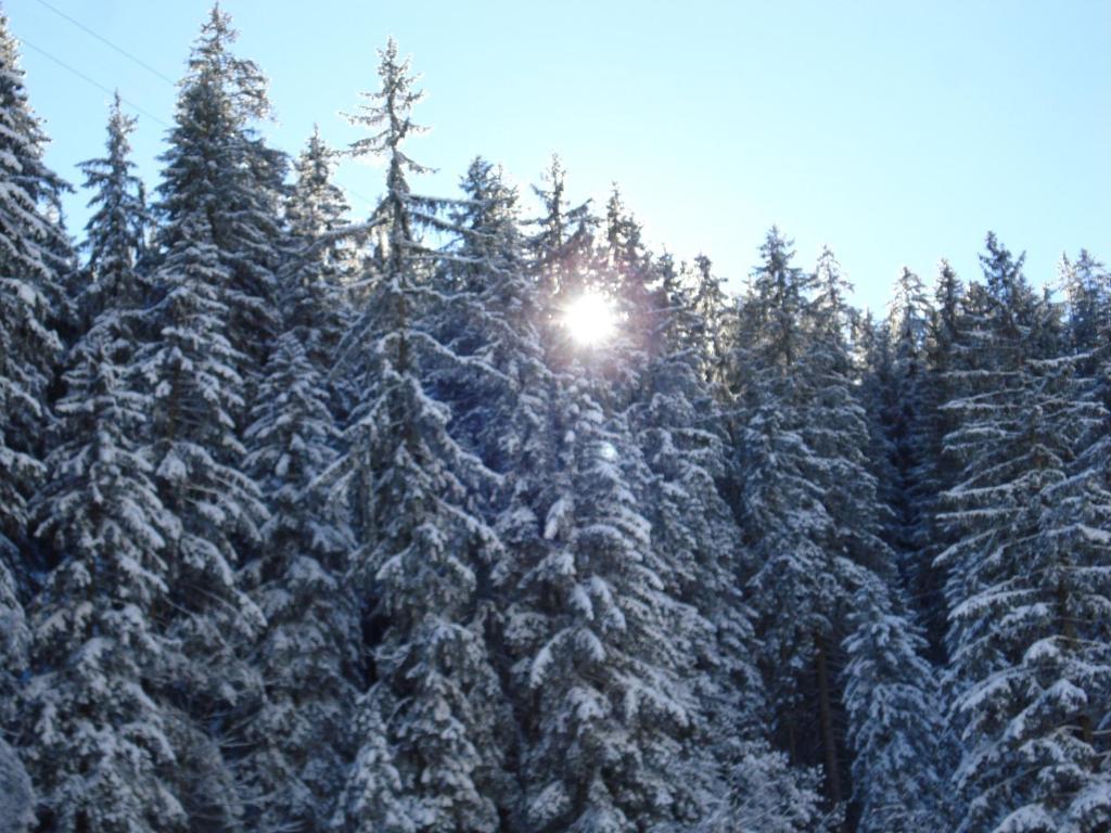 Chalet Allmegrat Аделбоден Екстериор снимка